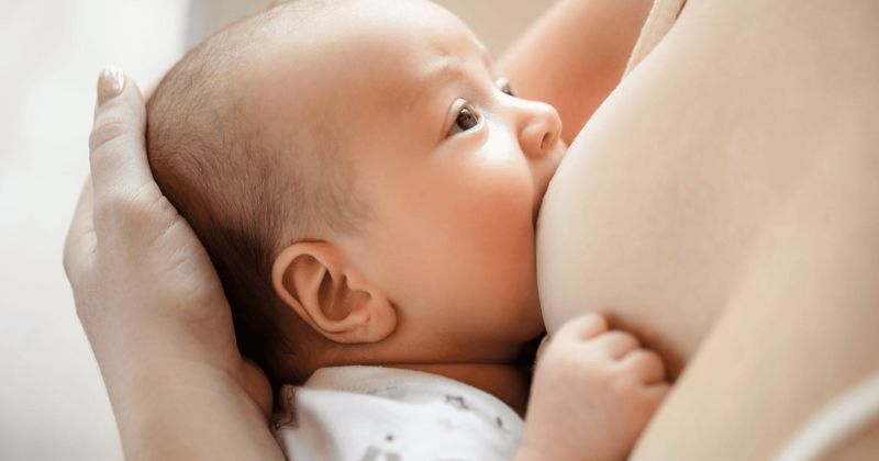 Cho trẻ sơ sinh bú sữa mẹ hoàn toàn trong 6 tháng đầu đời