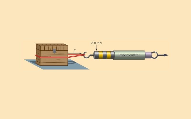 Hình minh họa dùng lực kế lò xo để đo trọng lực của khối gỗ.  (Ảnh: Shutterstock.com) 