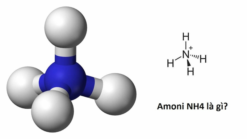 Muối amoni là gì? (Ảnh: Sưu tầm Internet)