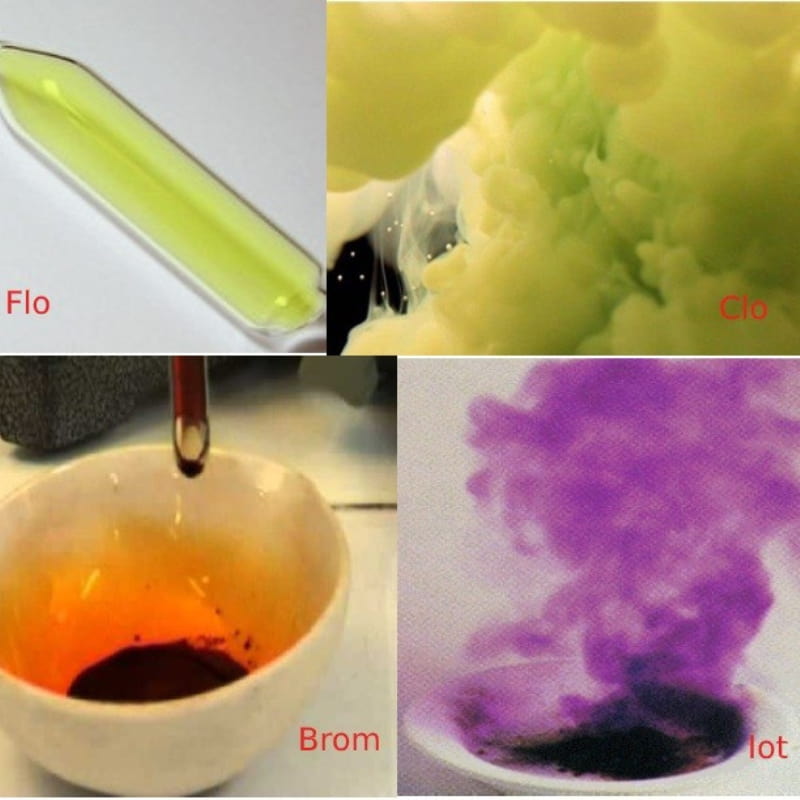 Sự biến đổi màu sắc và trạng thái các nguyên tố nhóm halogen. (Ảnh: Sưu tầm Internet)