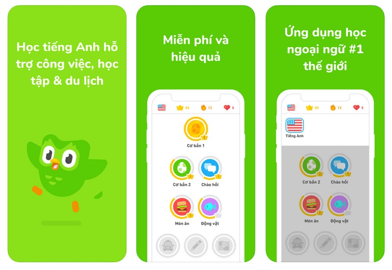 Duolingo là một ứng dụng miễn phí, giúp bạn học, rèn luyện tiếng Anh cơ bản. (Ảnh: Sưu tầm Internet)
