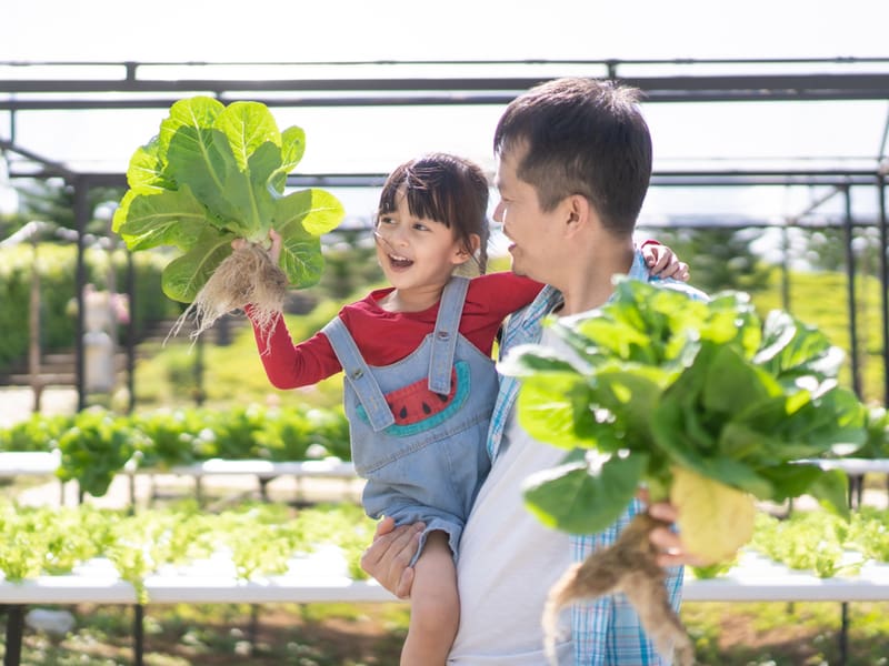 Hoạt động thăm quan giúp trẻ cảm nhận được vẻ đẹp thiên nhiên. (Ảnh: Shutterstock.com)