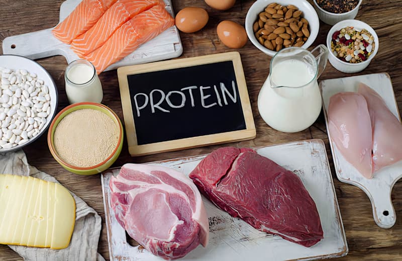 Tìm hiểu về protein. (Ảnh: Sưu tầm Internet)