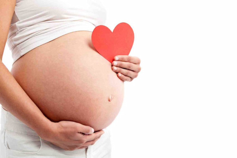 Rau mồng tơi với hàm lượng Folate dồi dào là thực phẩm mẹ bầu nên bổ sung trong giai đoạn thai kỳ. (Ảnh: Sưu tầm Internet)