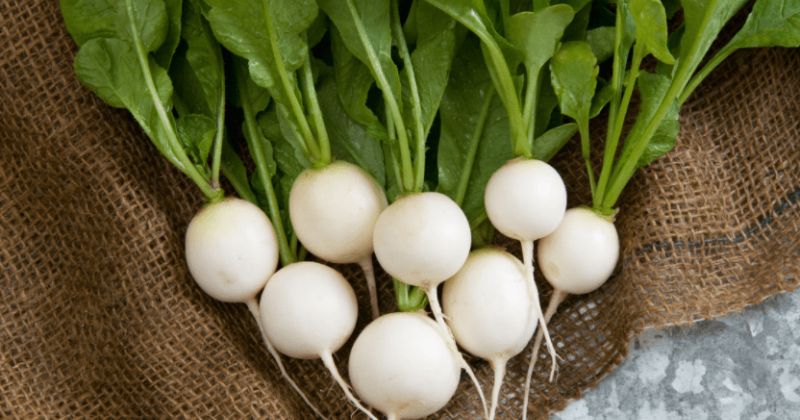 White radish adds essential nutrients to the body (Image: Internet Collection)
