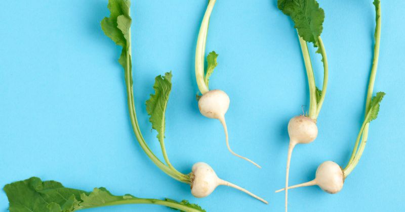 Eating white radish helps laxative effect (Photo: Internet Collection)