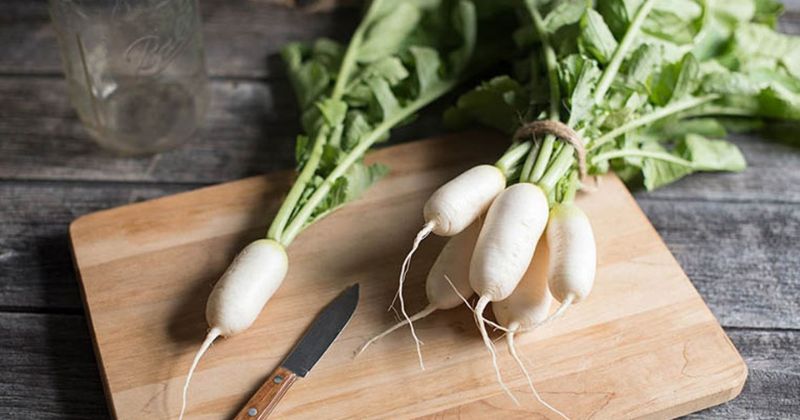 Can you eat white radish after giving birth?  The answer is Yes (Photo: Internet Collection)