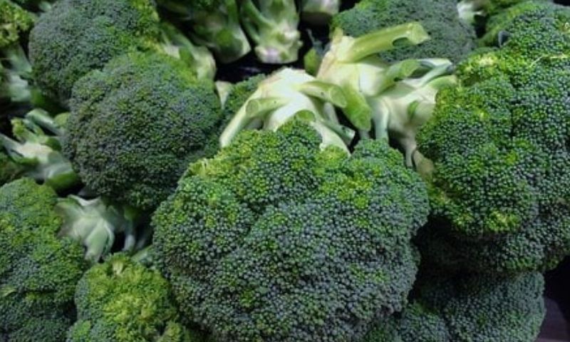 Bông cải xanh giàu protein và cacbohydrat. (Nguồn: Internet)