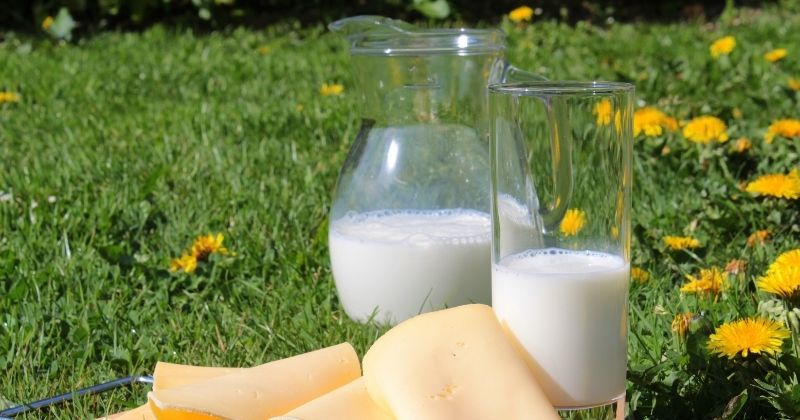 Sữa dê thơm ngon bổ dưỡng (Ảnh: Sưu tầm Internet)