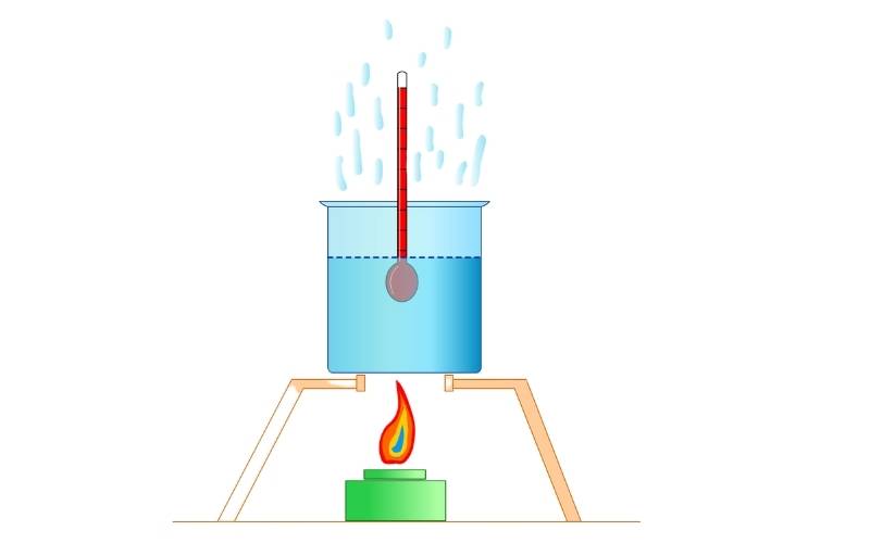 Đun nước và quan sát nhiệt độ thay đổi trong nhiệt kế. (Ảnh: Shutterstock.com)
