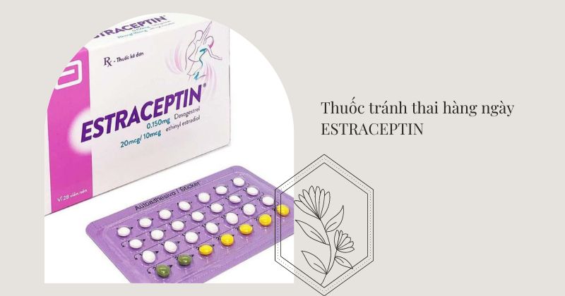 Estraceptin là một trong những loại thuốc tránh thai hàng ngày bán chạy nhất trên thị trường (Ảnh: Sưu tầm Internet)