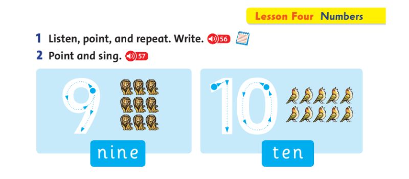Lesson 9, 10 - Lesson 4 English grade 1 unit 4 They'rebears.  (Photo: Textbook screenshot)