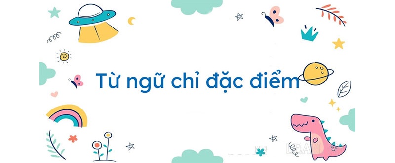 Tiếng Việt lớp 3 với các từ chỉ đặc điểm: Khái niệm, tác dụng, cách sử dụng và bí quyết học tập hiệu quả