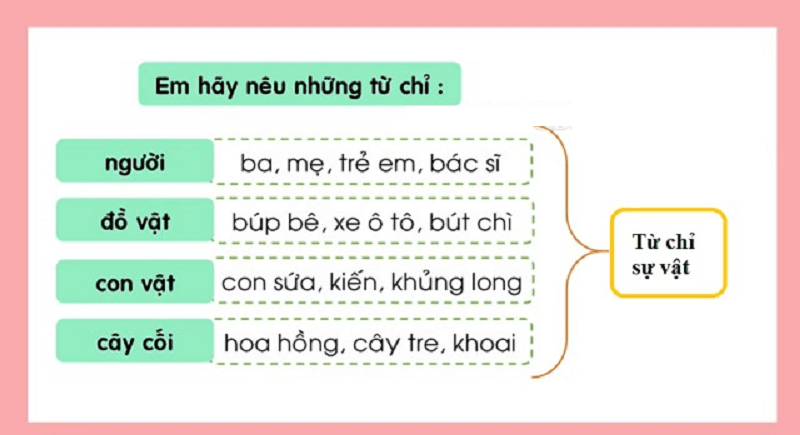 Tiếng Việt lớp 3 từ chỉ sự vật: Khái niệm, đặc điểm, phân loại và rút kinh nghiệm