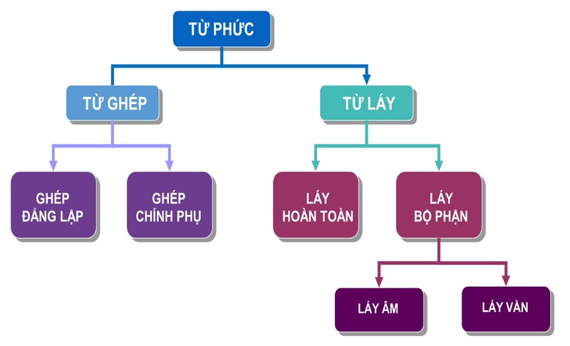 Từ ghép và từ láy đều thuộc từ phức trong tiếng Việt. (Ảnh: Vndoc)
