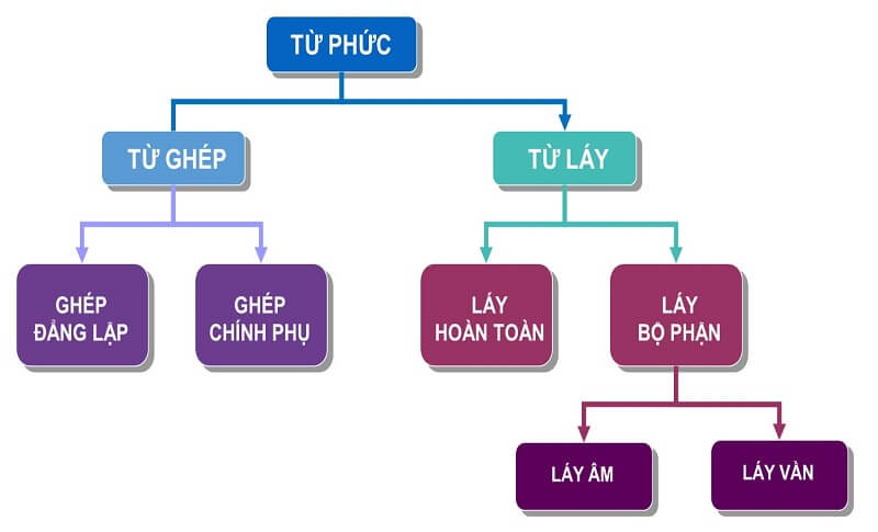 Tổng hợp các loại từ phức trong Tiếng Việt. (Ảnh: Sưu tầm internet)