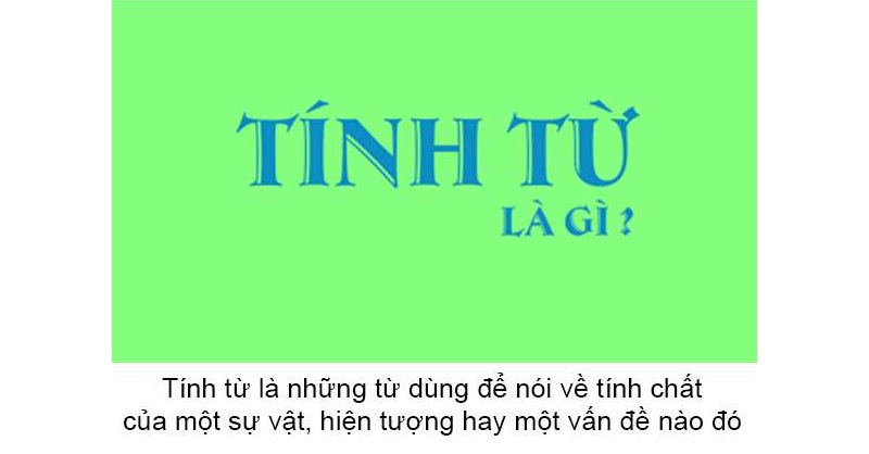 Đặc điểm của tính từ trong tiếng Việt. (Ảnh: Sưu tầm internet)