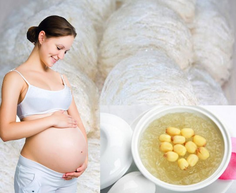 Phụ nữ mang thai không nên bồi bổ tổ yến quá sớm, đặc biệt là trong vòng 3 tháng đầu. (Ảnh: Sưu tầm Internet)