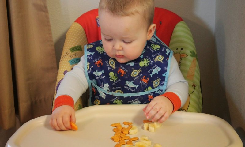 Trẻ bị ngộ độc thực phẩm cần phải làm như thế nào? Ngừng cho trẻ ăn thức ăn gây ngộ độc (Nguồn: Sưu tầm internet)