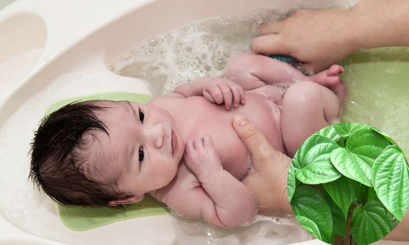 Trầu không giúp kháng khuẩn cực tốt. (Ảnh: Nguồn Internet)