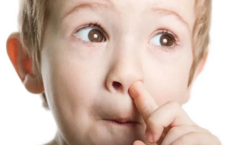 Các nguyên nhân khiến trẻ bị chảy máu cam. (Ảnh: Nguồn Internet)