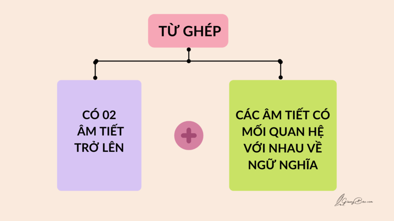 Từ ghép là một dạng đặc biệt của từ phức.  (Ảnh: Giangbec)