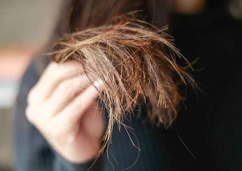 Vitamin B1 có thể được sử dụng để cải thiện hầu hết các tình trạng của tóc, đặc biệt là tóc khô, giòn, mỏng, hư tổn.  (Ảnh: Sưu tầm Internet)