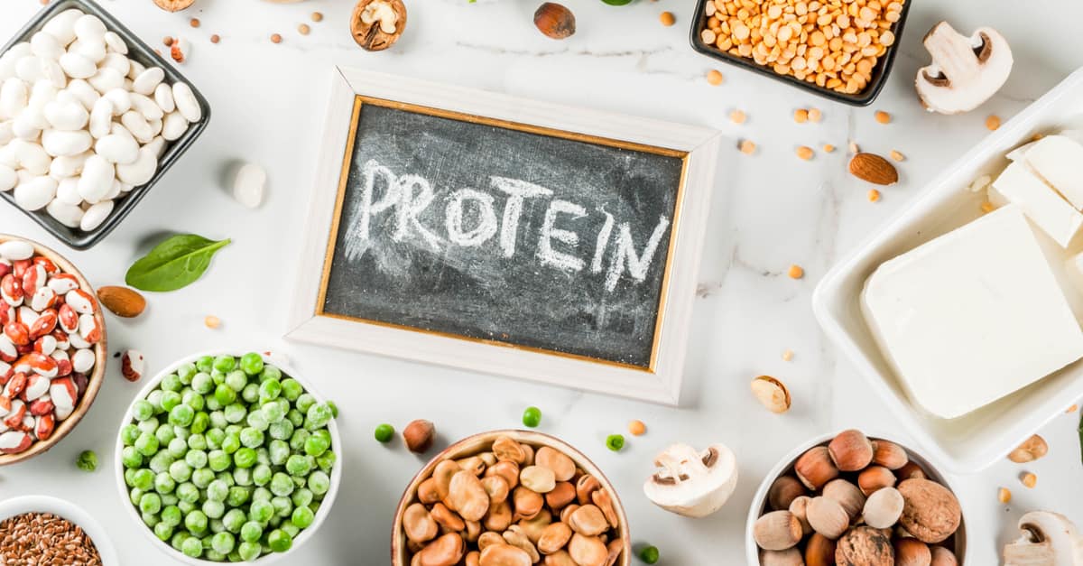 Tìm hiểu về protein: Thành phần, tính chất và cấu tạo