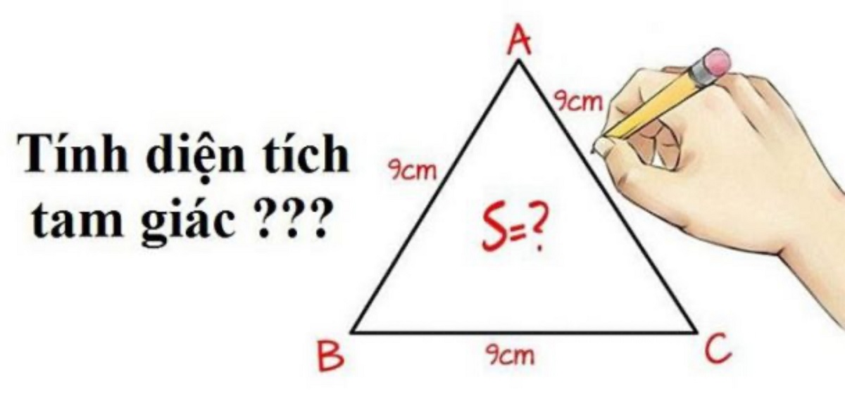 Tất tần tật kiến thức diện tích hình tam giác lớp 5 & bài tập có đáp án