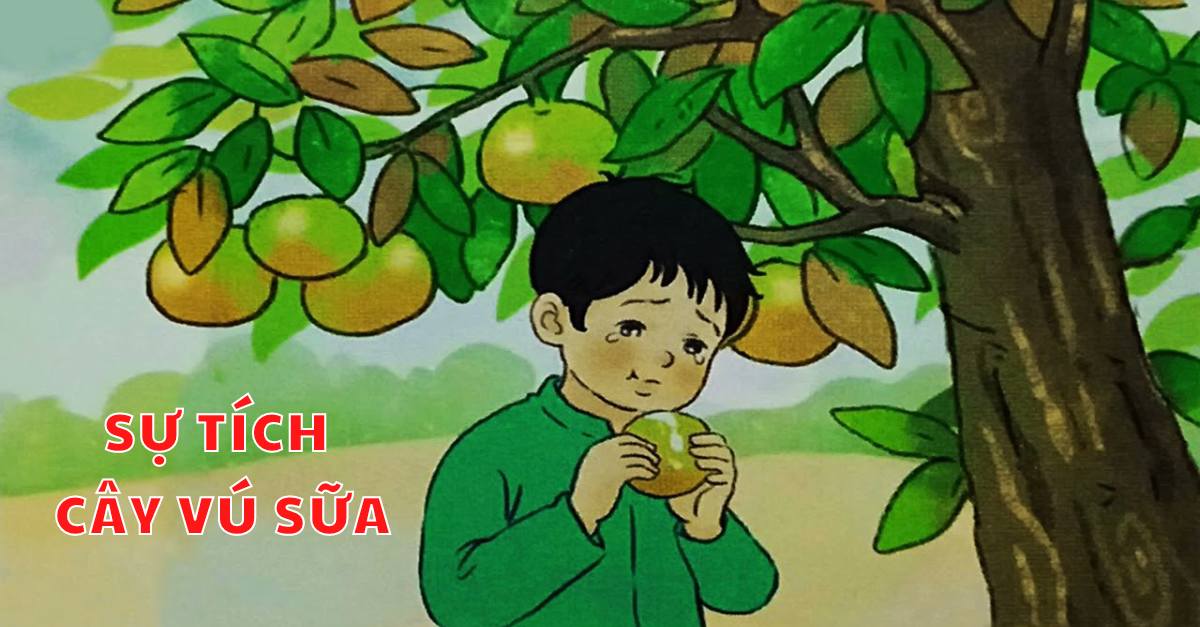 Soạn bài tiếng Việt lớp 2: Sự tích cây vú sữa chi tiết nhất