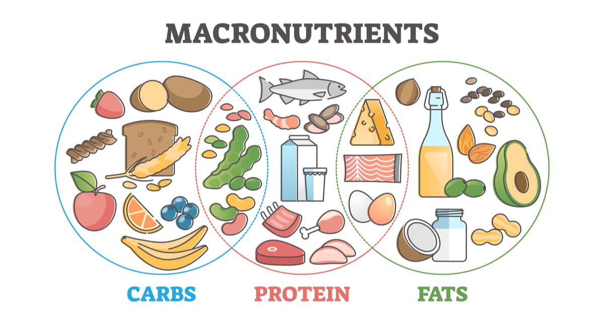 Carbohydrate gồm các loại nào và cách phân biết carbs tốt và xấu