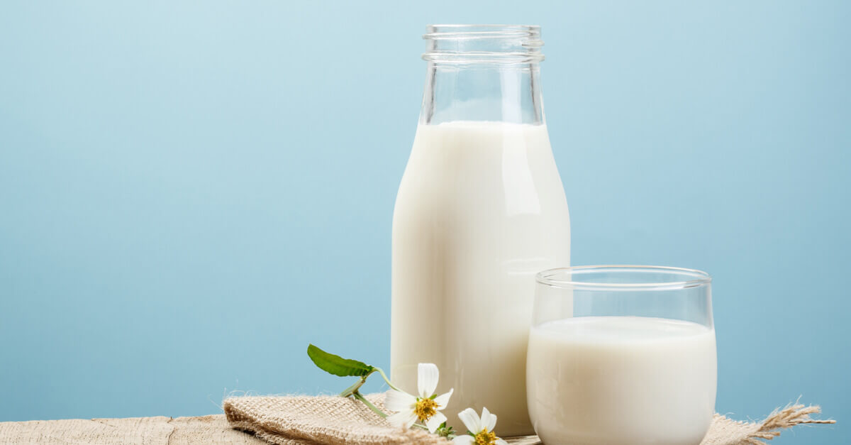 Sữa là chất dinh dưỡng gì? Chế phẩm từ sữa có vai trò gì?