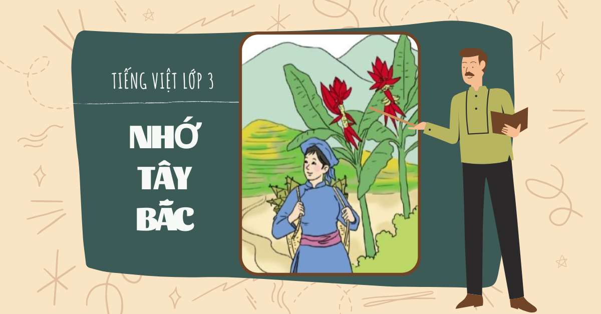 Soạn bài tập tiếng Việt: Nhớ Việt Bắc lớp 3 trang 55, 56 sách Cánh Diều