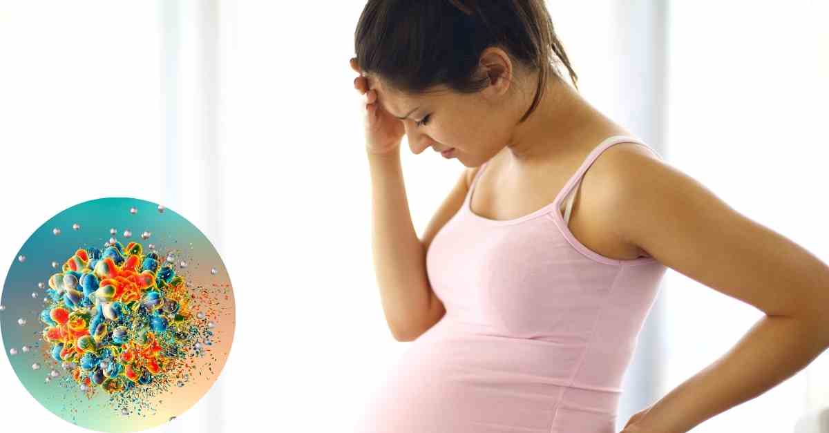 Kinh nghiệm chăm sóc bà bầu bị viêm gan B an toàn cho cả mẹ và bé