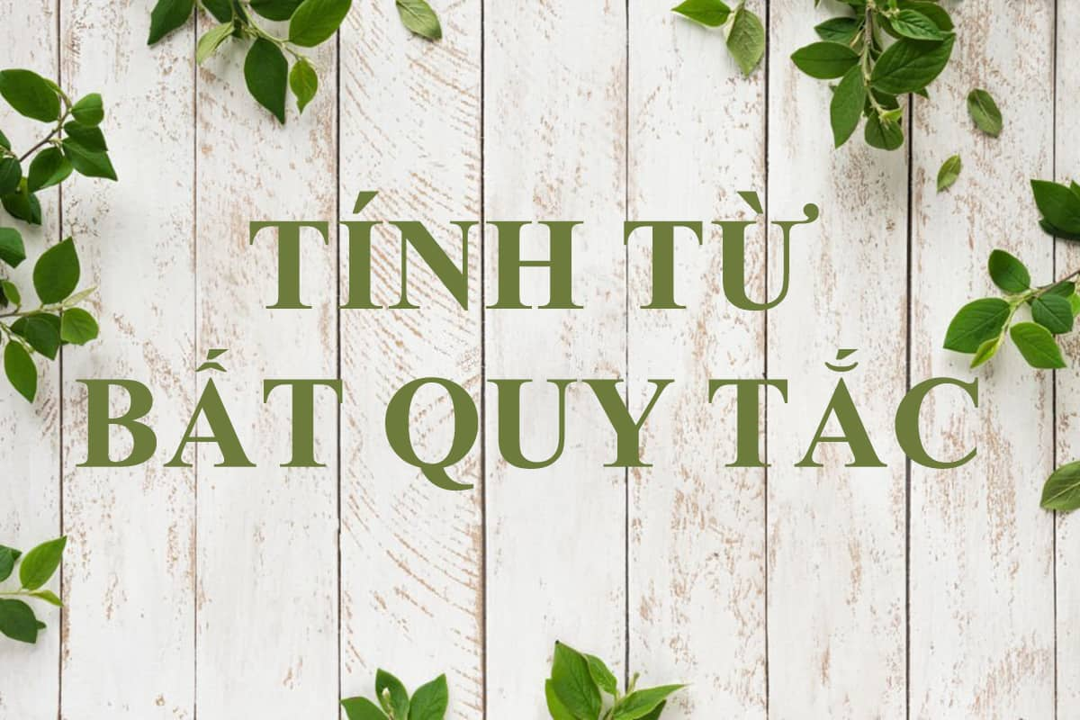 [Update] Bảng tính từ bất quy tắc tiếng anh đầy đủ nhất