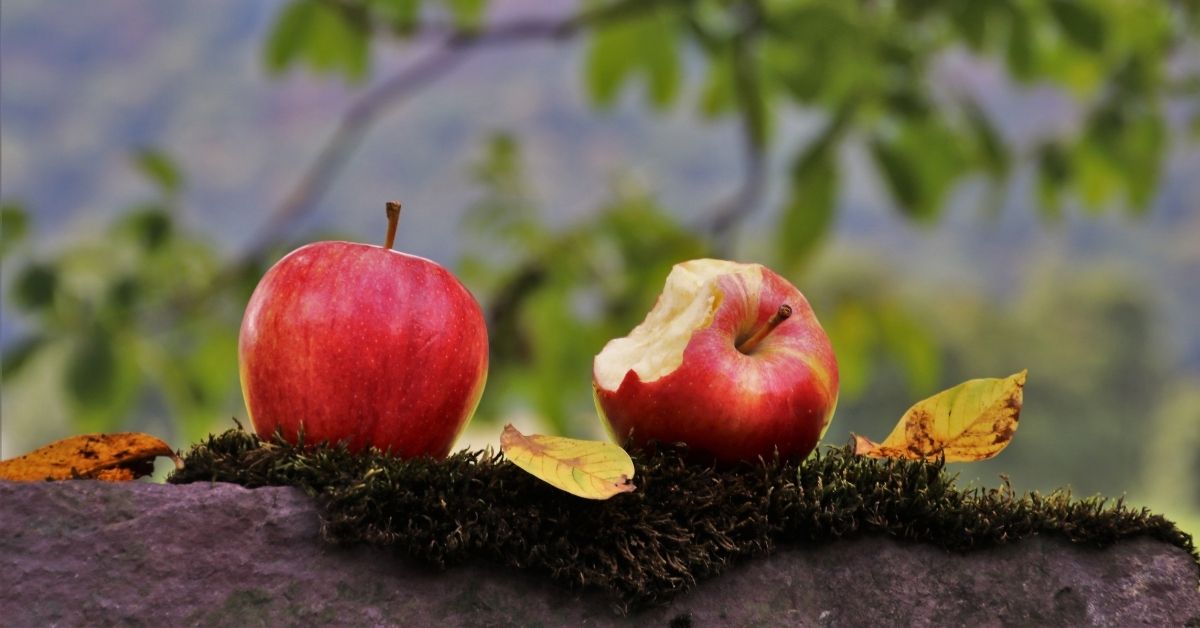 Mẹ sau sinh ăn táo được không? Nên ăn thế nào để tốt nhất cho sức khỏe
