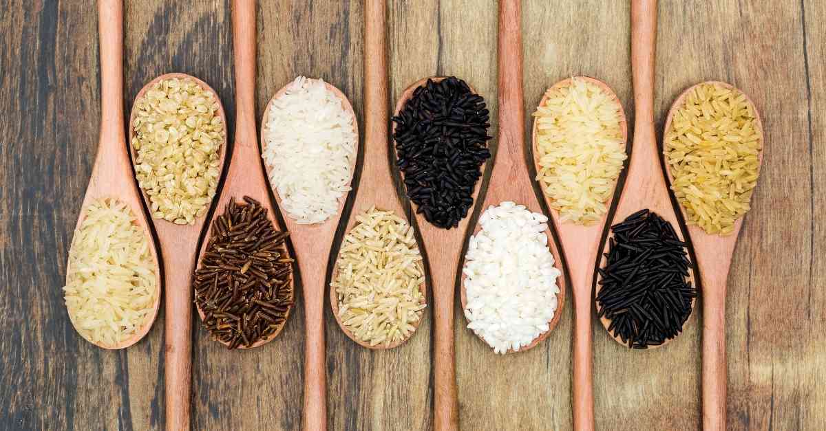 Gạo có chất xơ là gì và nó có lợi ích gì cho sức khỏe?