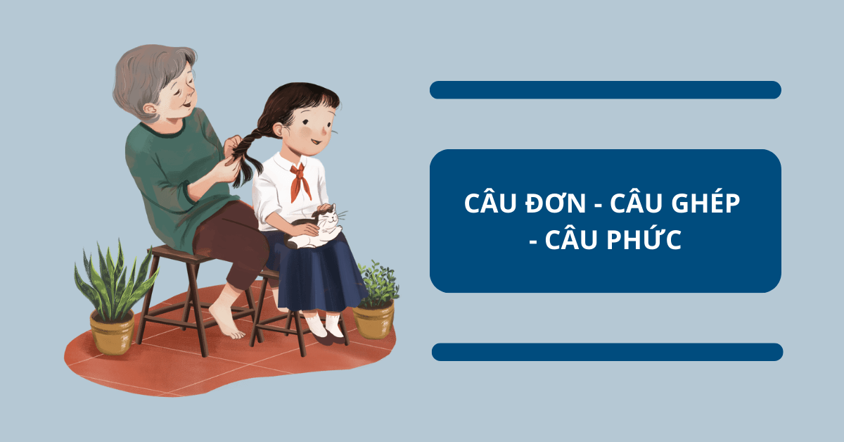 [Tổng quát] Câu đơn, câu ghép, câu phức trong tiếng Việt & Bài tập có đáp án