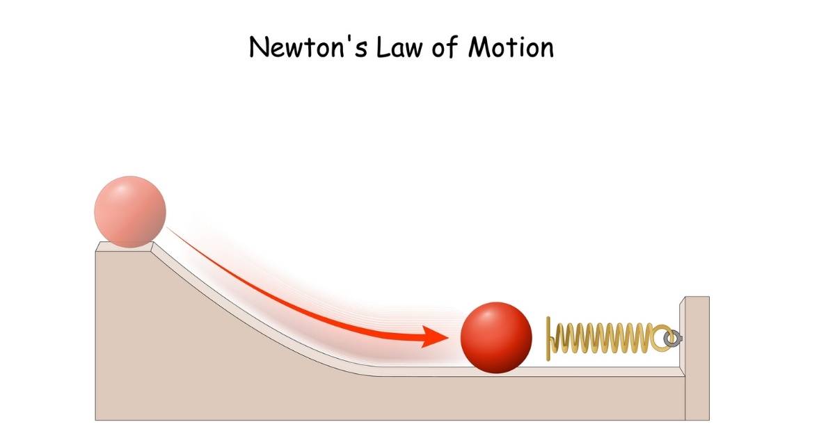 Biểu thức nào là là màn biểu diễn đúng chuẩn của quyết định luật Newton loại 2?
